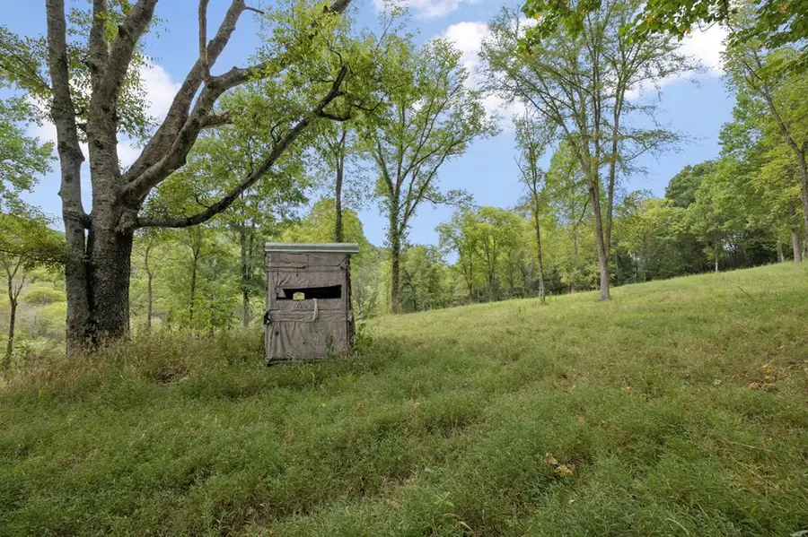 46.19 Ac Funn Branch Rd, Gainesboro, TN 38562 - #3