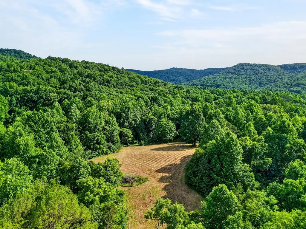 0 Buffalo Cove Ln, Jamestown, TN 38556 - #1