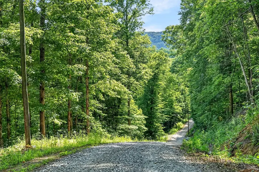 0 Buffalo Cove Ln, Jamestown, TN 38556 - #2