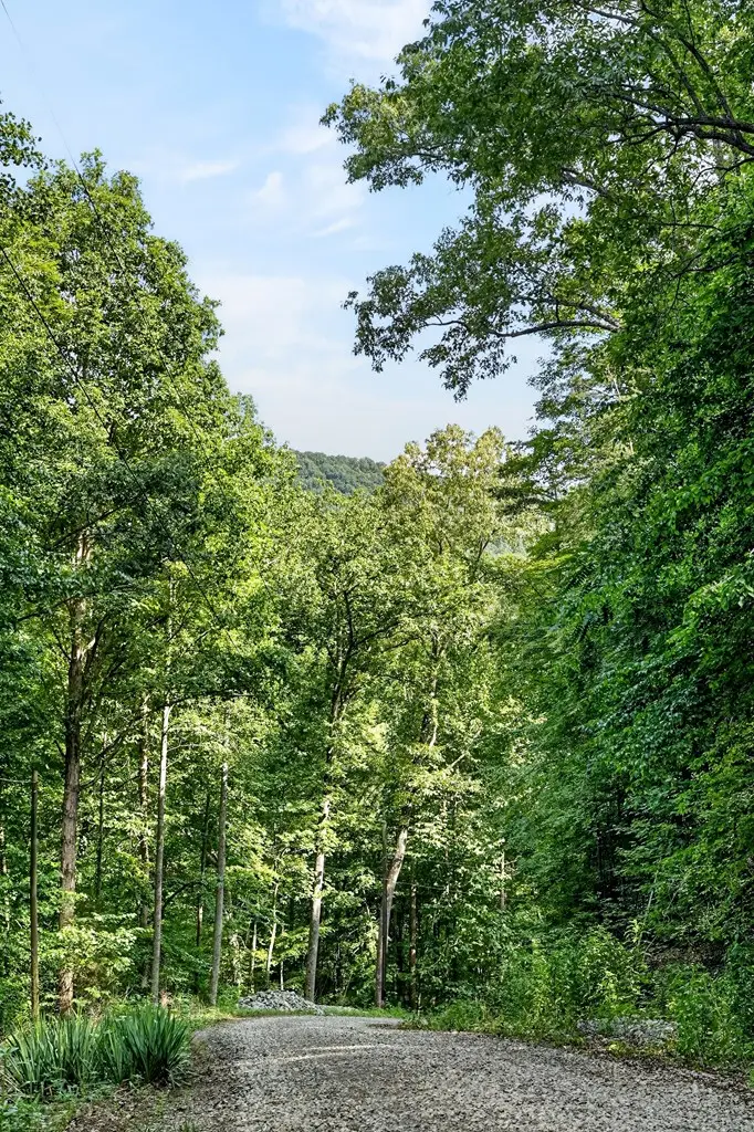 0 Buffalo Cove Ln, Jamestown, TN 38556 - #3