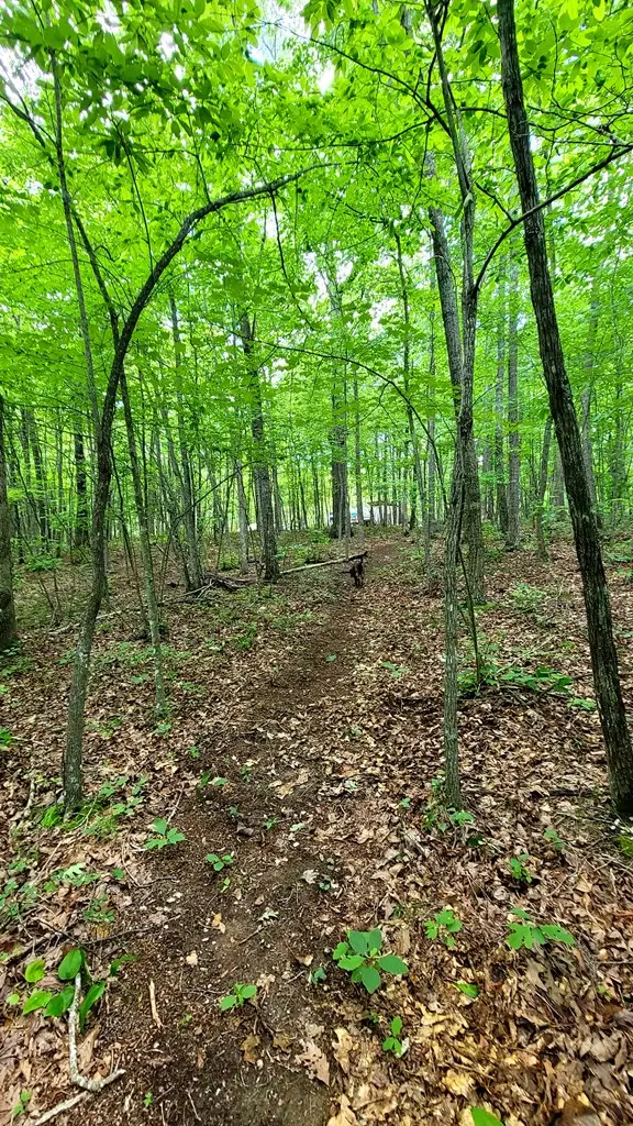 638 Flat Top View, Wilder, TN 38589 - #3