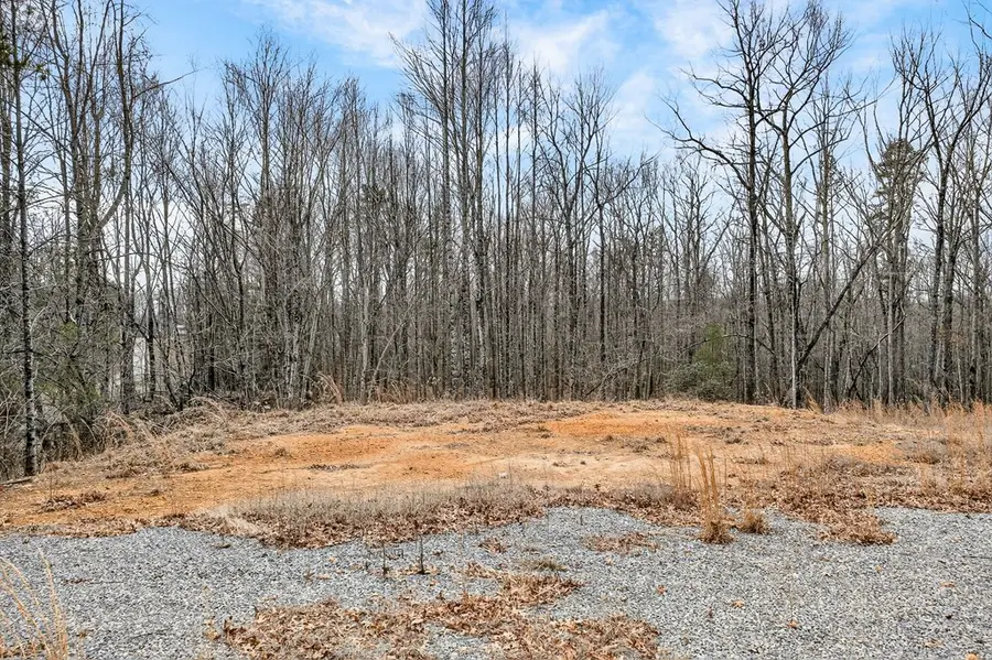 229 Paradise Ln, Crawford, TN 38554 - #3