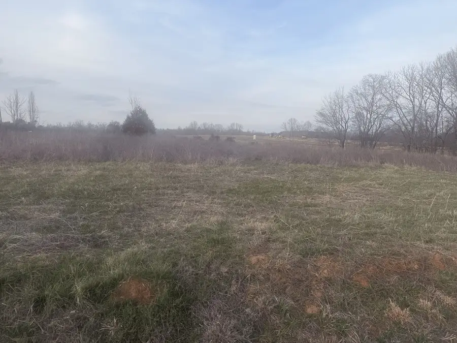 5685 Canoe Way, Baxter, TN 38544 - #3