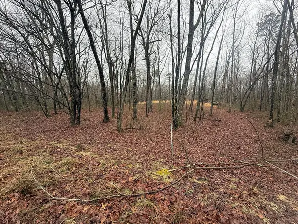 551 Cliff Park Rd, MONTEREY, TN 38574