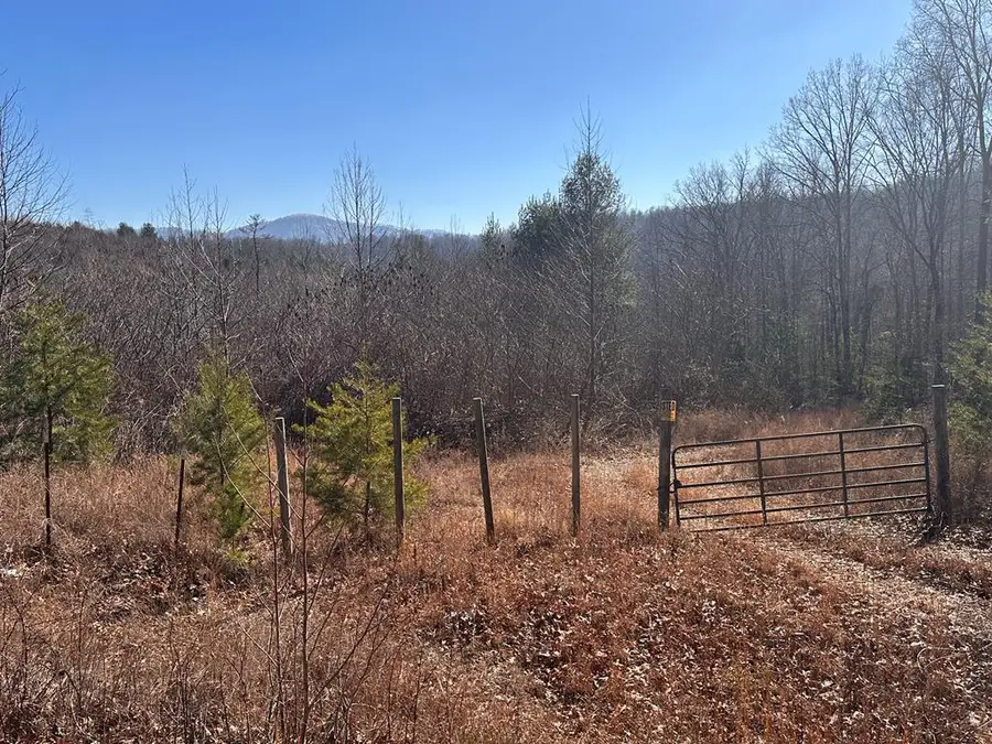 120.43ac E O Mill Creek Rd, Sunbright, TN 37872 - #2