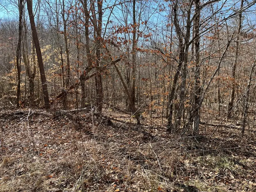 120.43ac E O Mill Creek Rd, Sunbright, TN 37872 - #3