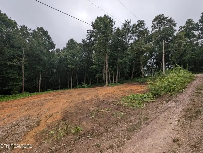 248 N Norris St, Jamestown, TN 38556 - #2