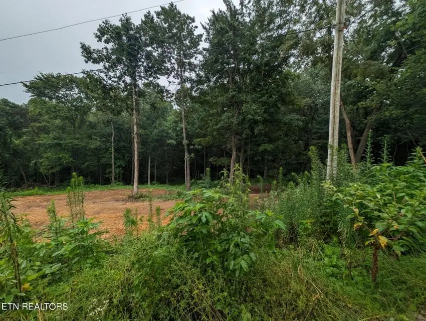 248 N Norris St, Jamestown, TN 38556 - #3