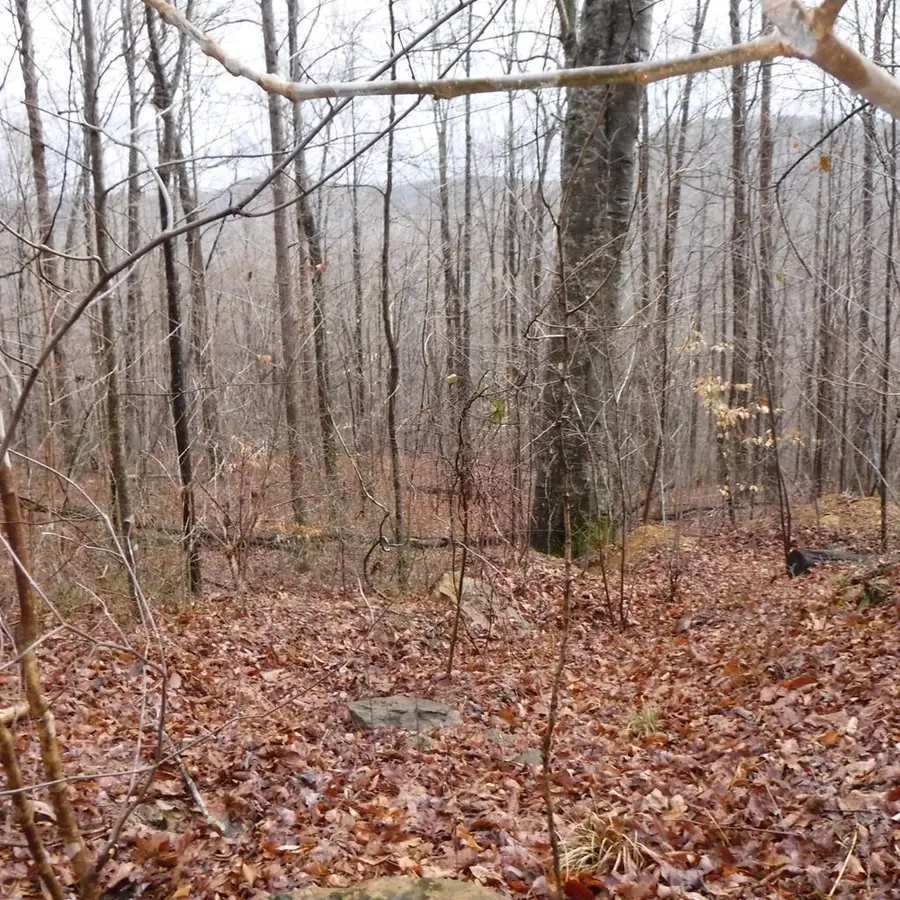 Lot 14 Cheyenne Drive, Jamestown, TN 38556 - #2