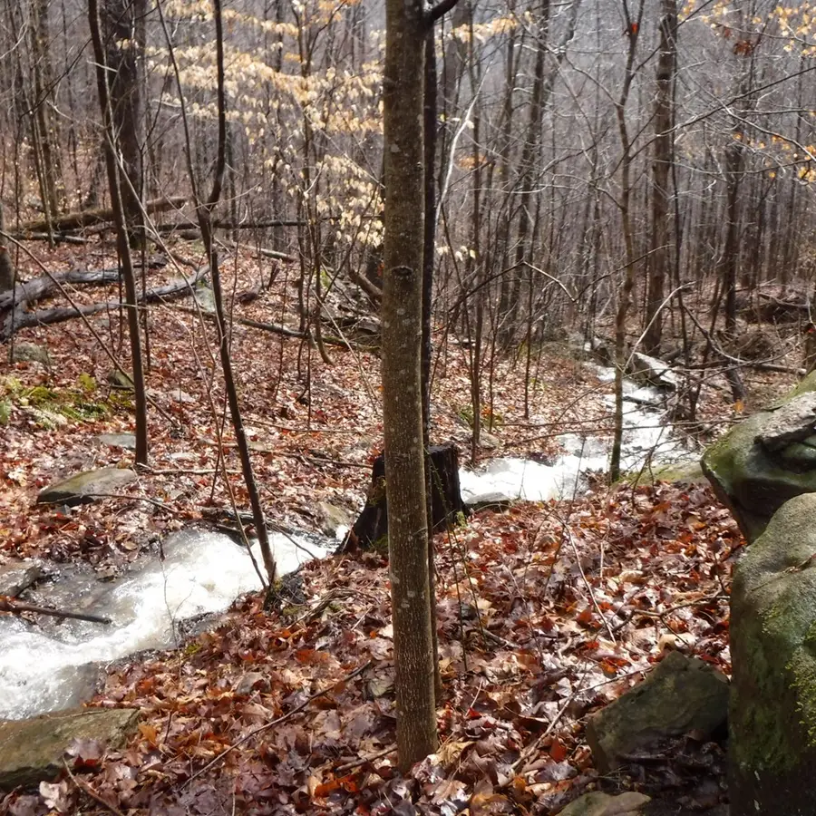 Lot 14 Cheyenne Drive, Jamestown, TN 38556 - #3