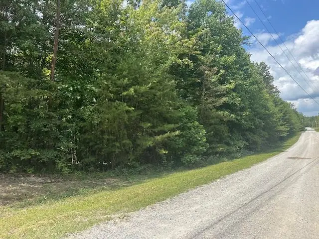Lot 354 Hood Lane, Wilder, TN 38589 - #2