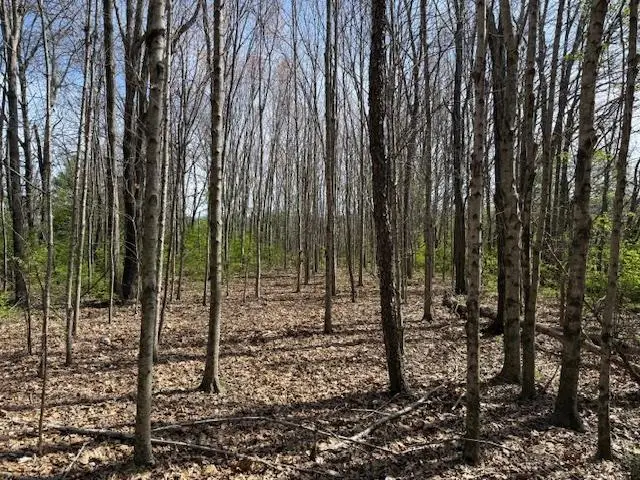 0 Shellsford Rd., McMinnville, TN 37110 - #1