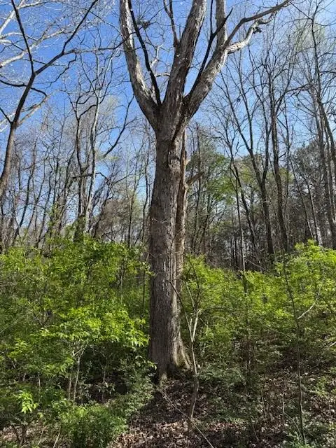 0 Shellsford Rd., McMinnville, TN 37110 - #3