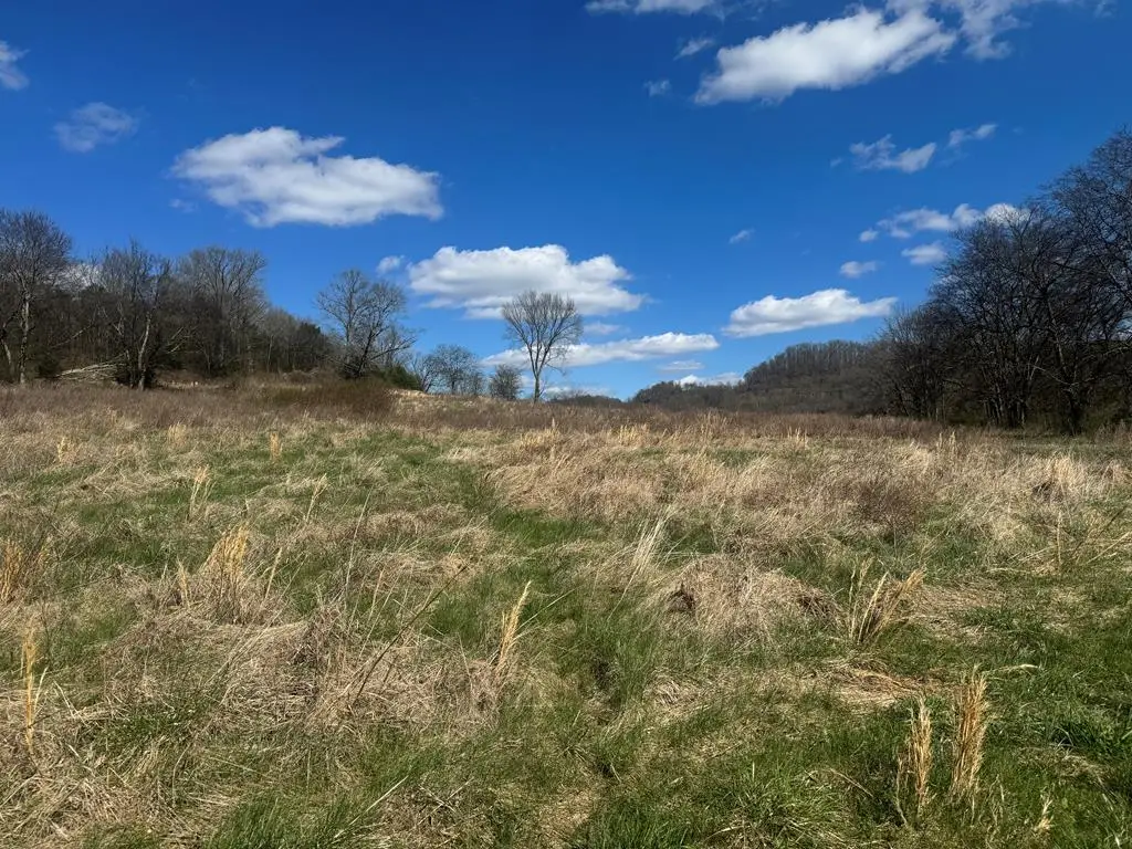 Lot 6 Salt Lick Creek Rd, Pleasant Shade, TN 37145 - #1