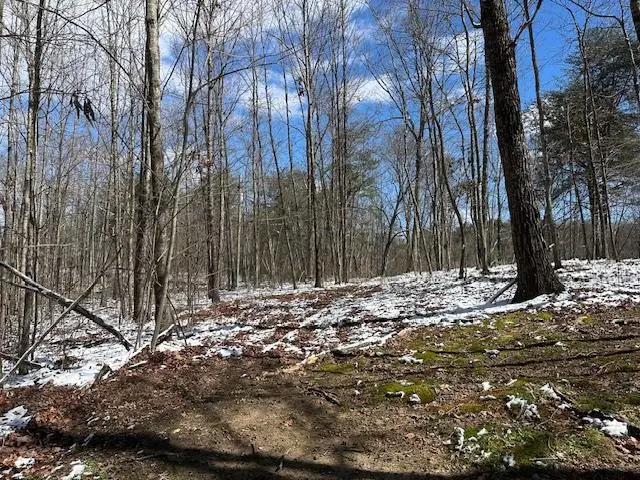 126 Indian Village Lane, Wilder, TN 38589 - #3