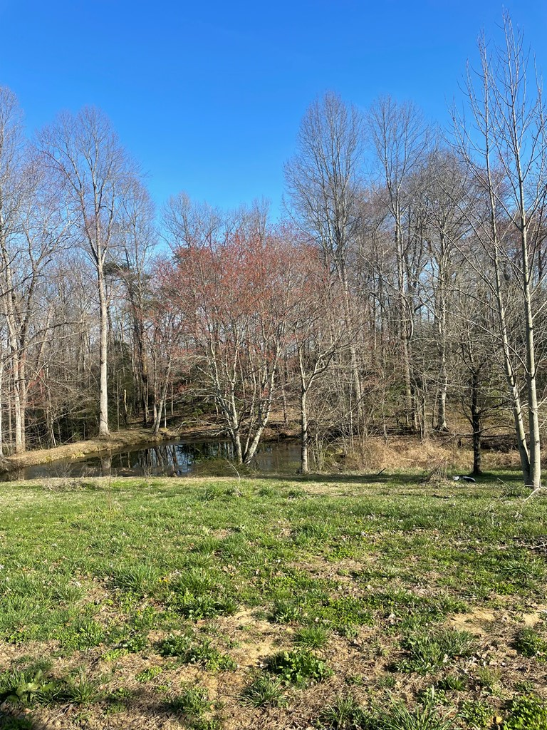 2047 Todd Rd, Clarkrange, TN 38553 - #3