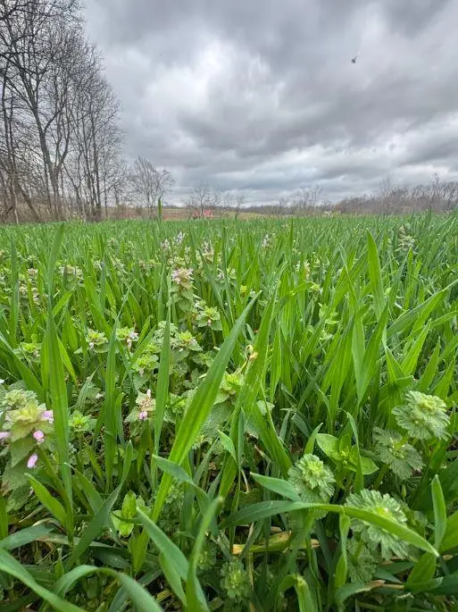 0 Bakerton Rd, RED BOILING SPRINGS, TN 37150