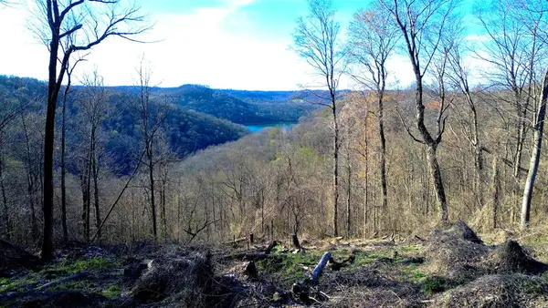 0 Lola Dr, SMITHVILLE, TN 37166