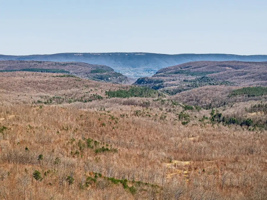 573AC Daus Mountain Rd, Palmer, TN 38365 - #3