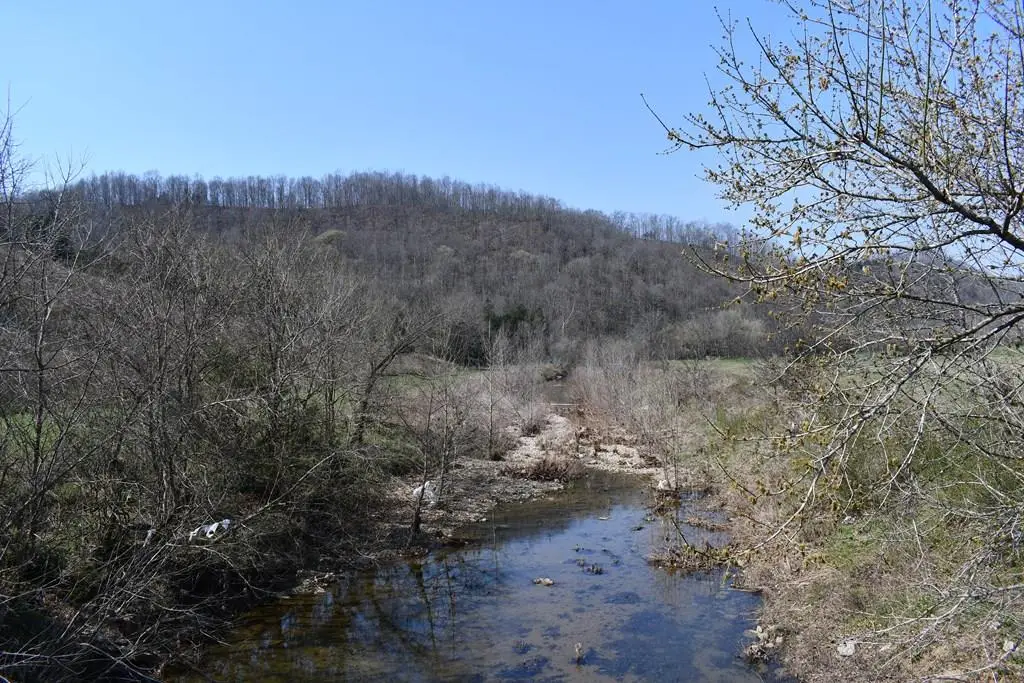 31.14 ac Dry Mill Creek Road, Hilham, TN 38568 - #1