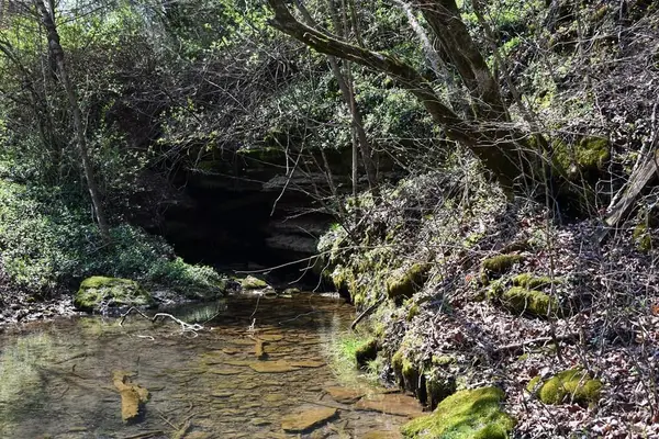 101.3ac Dry Mill Creek, Hilham, TN 38568