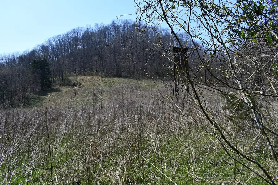 219.44ac Tick Ridge Road, Celina, TN 38551 - #3