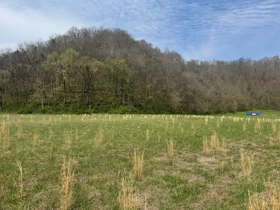 6.34Ac Pine Lick Rd, Whitleyville, TN 38588 - #3