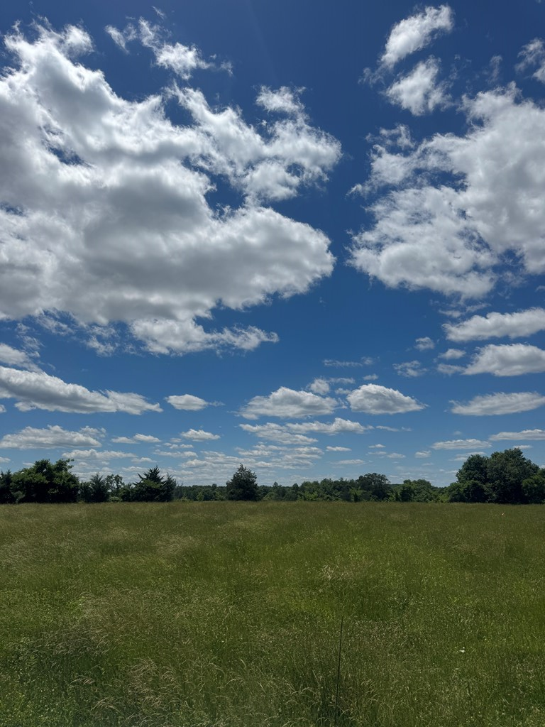 Tract 5 Old Kentucky Road , Hwy 528, Albany, KY 42602 - #3