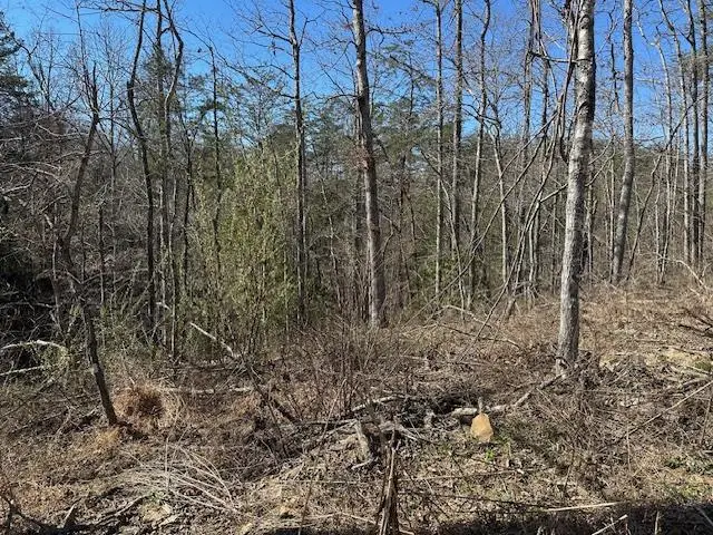 na Vine Ridge Road, Crawford, TN 38554 - #3