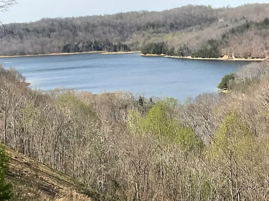 132 Miller's Mill Est Rd, Byrdstown, TN 38549 - #3