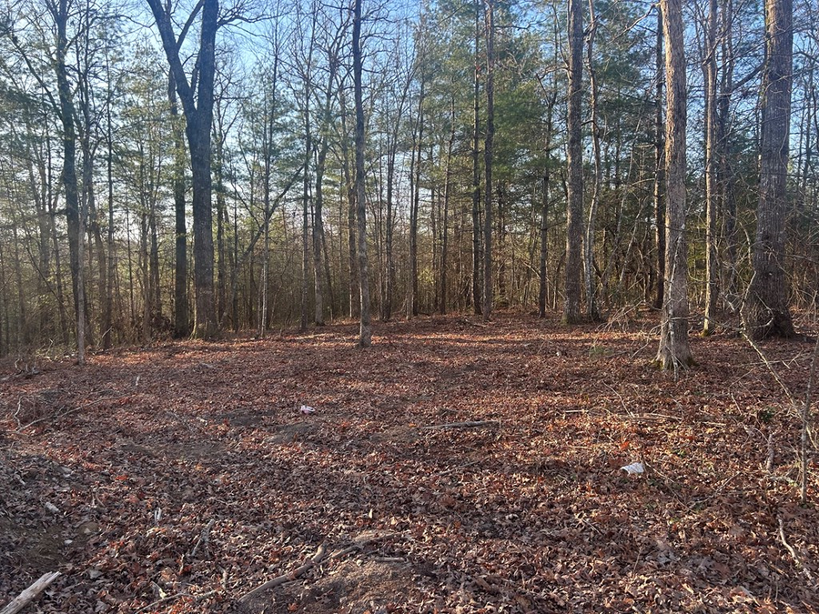 239 Sewell Dr, Allardt, TN 38504 - #3