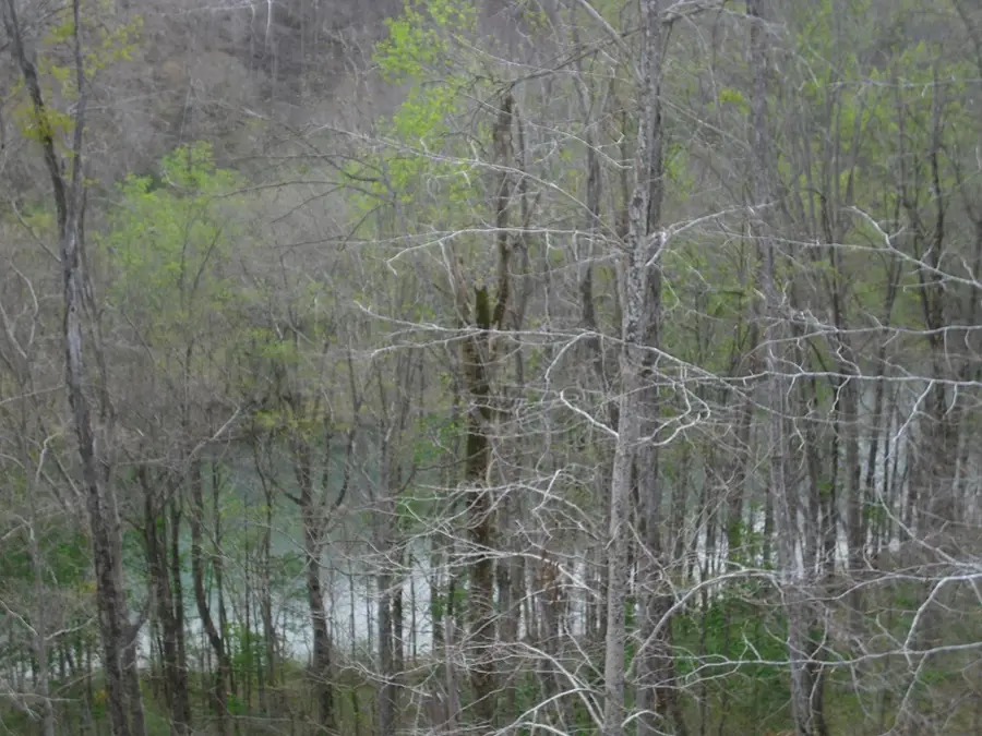 2520 Riverton Rd, Jamestown, TN 38556 - #2