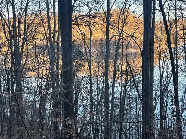 1 Back Bone Road, SPARTA, TN 38583