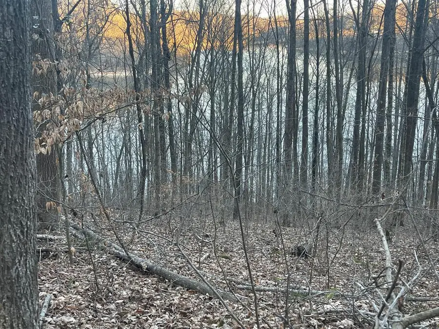 1 Back Bone Road, Sparta, TN 38583 - #2