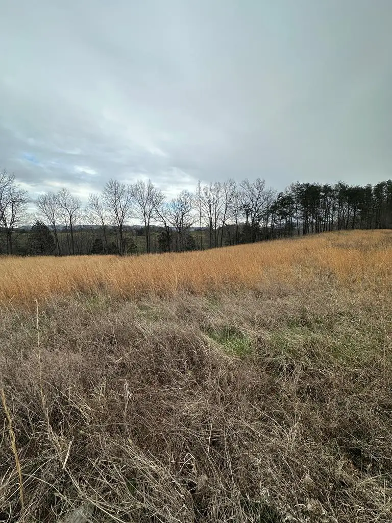 Lot 73 Hidden River Rd, Rock Island, TN 38581 - #1