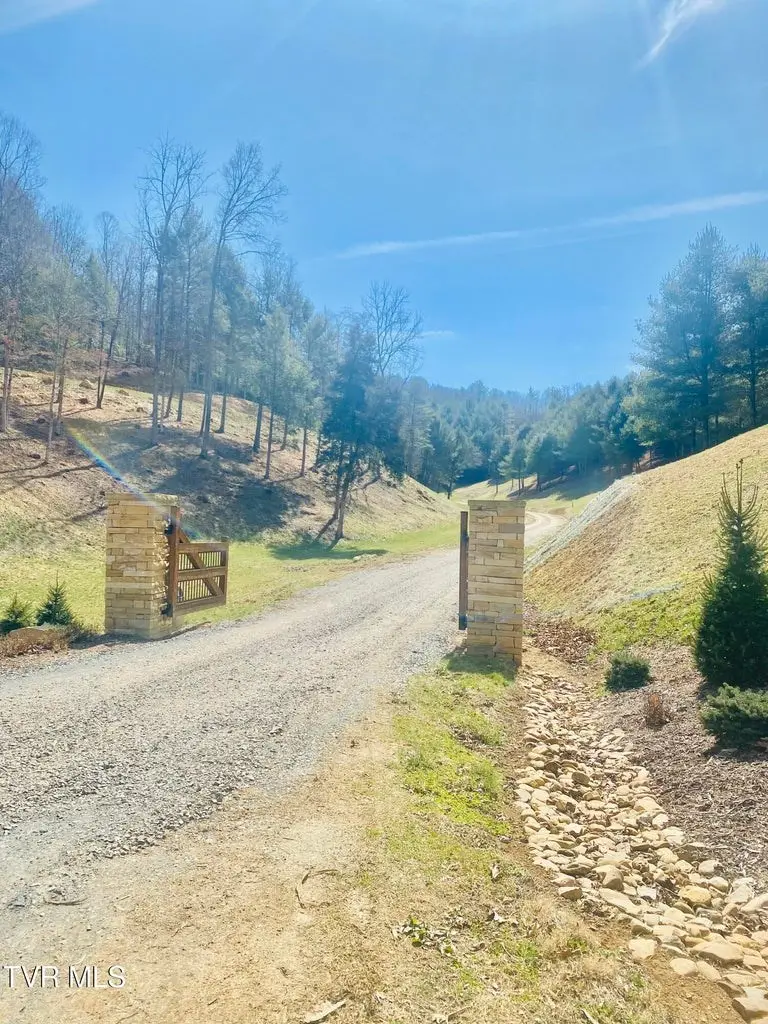 lot 20 Vineyard Valley Drive, Butler, TN 37640 - #3