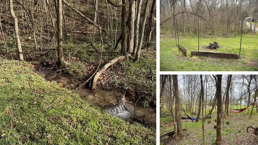 729 Jefferson Avenue, Sparta, TN 38583 - #2