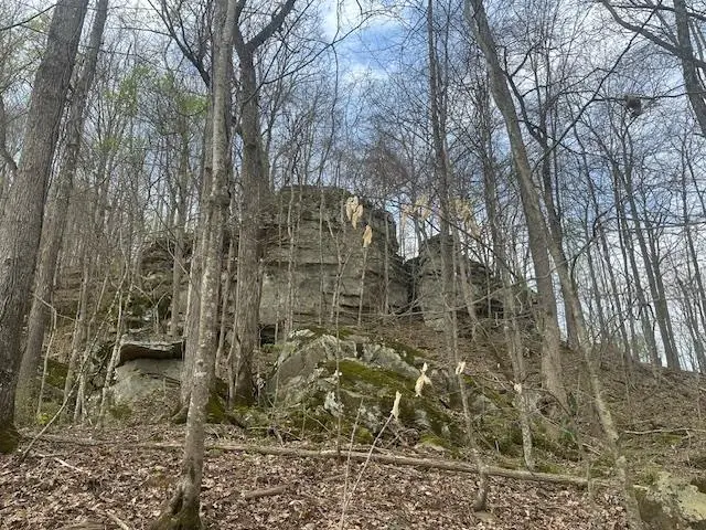 Lot 84 Buckeye Lane, Wilder, TN 38589 - #1