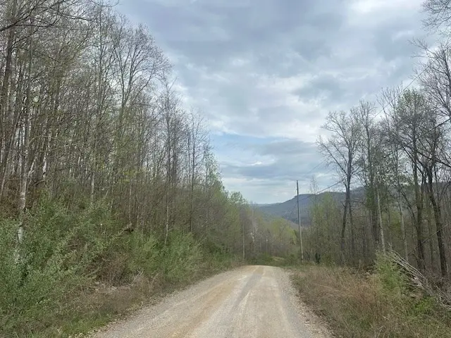 Lot 84 Buckeye Lane, Wilder, TN 38589 - #2