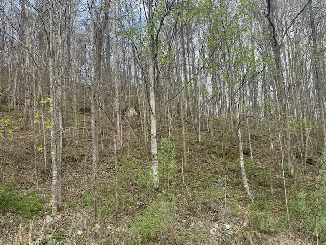 Lot 84 Buckeye Lane, Wilder, TN 38589 - #3