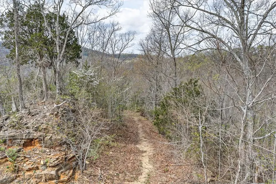 1089 Cornerstone Pkwy, Allons, TN 38541 - #3