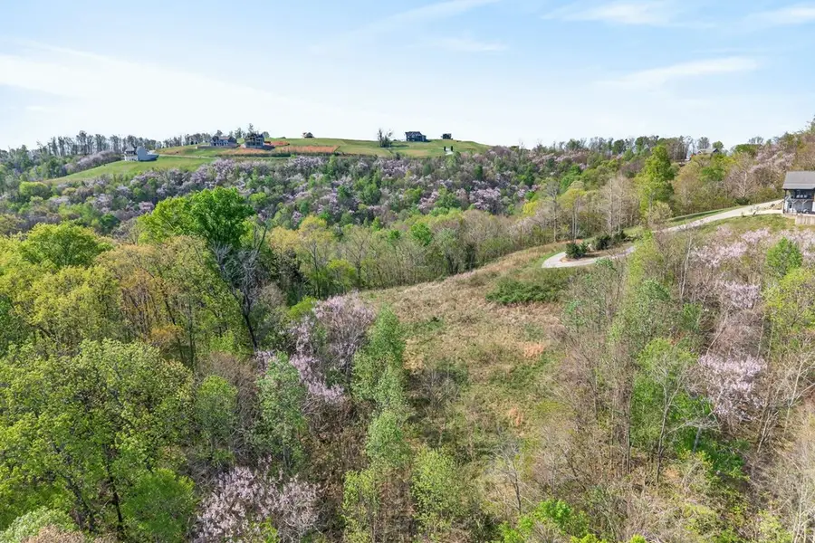 Lot 58A1 Goose Road, Hilham, TN 38568 - #3