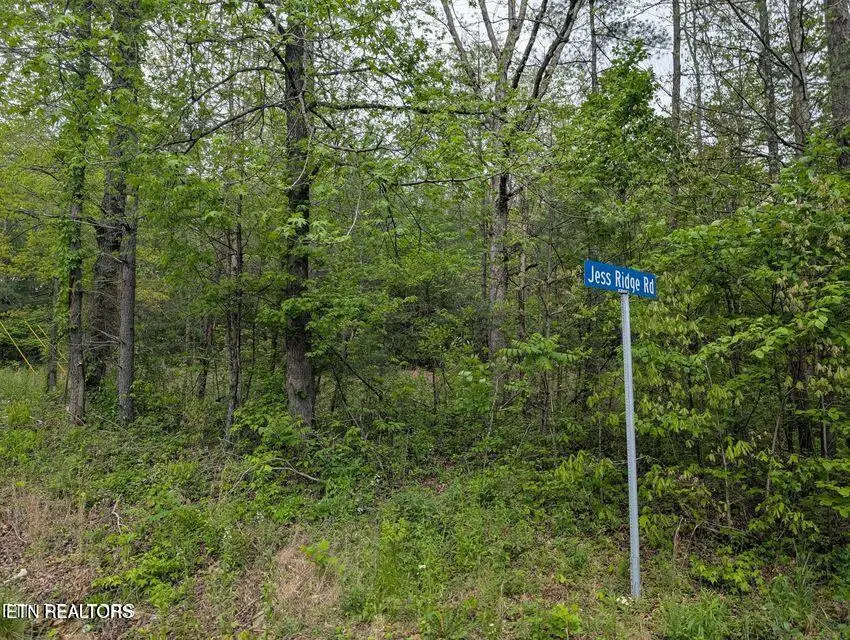 158 Jess Ridge Rd, Lancing, TN 37770 - #1