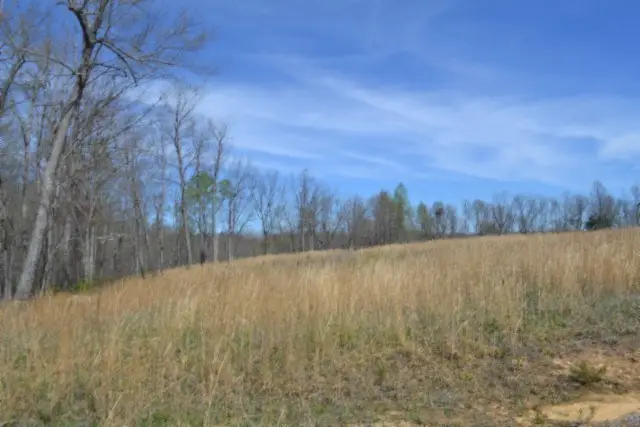7.08ac Hollow Creek Lane, Clarkrange, TN 38553 - #3