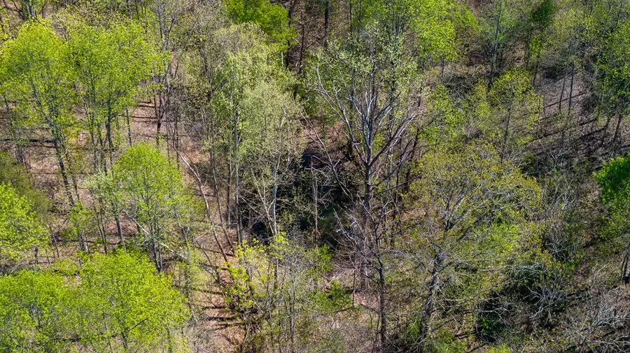 12.58 AC Dodson Branch Hwy, Cookeville, TN 38501 - #3