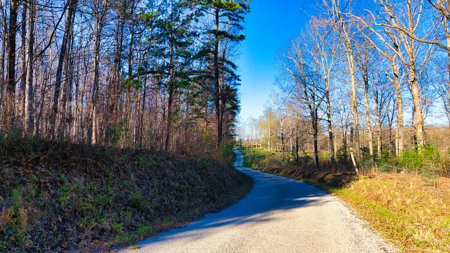 Tract 2 Ervin Brown Road, Sunbright, TN 37872 - #3