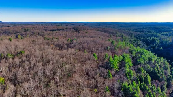 Tract 6 Ervin Brown Road, Sunbright, TN 37872