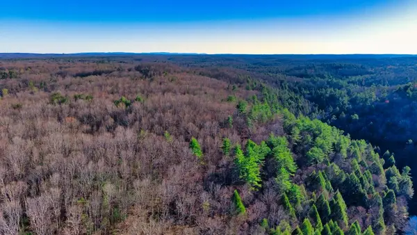 Tract 7 Ervin Brown Road, Sunbright, TN 37872