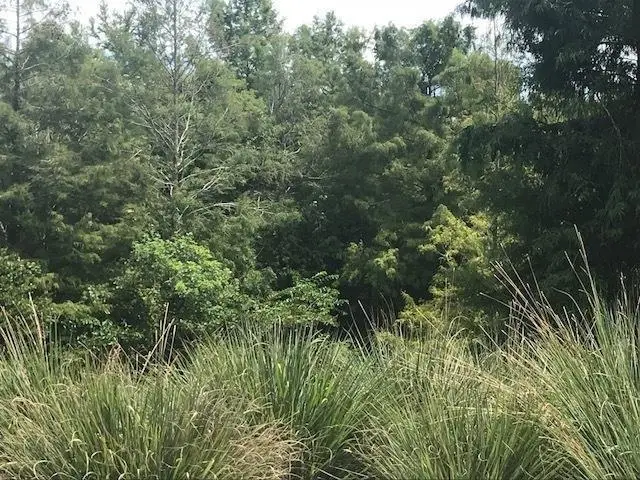 1604 Goforth Rd, Spencer, TN 38585 - #1