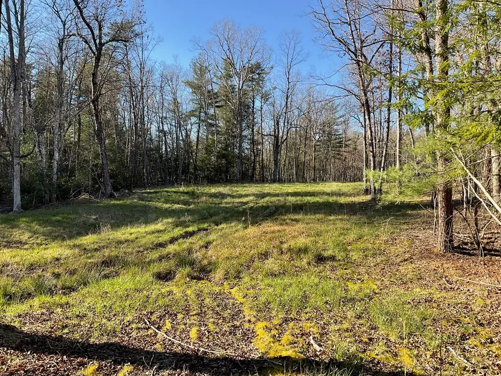 Tract 2 Pine Breeze, Monterey, TN 38574 - #1